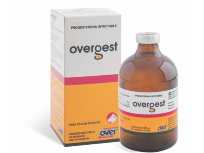 Overgest