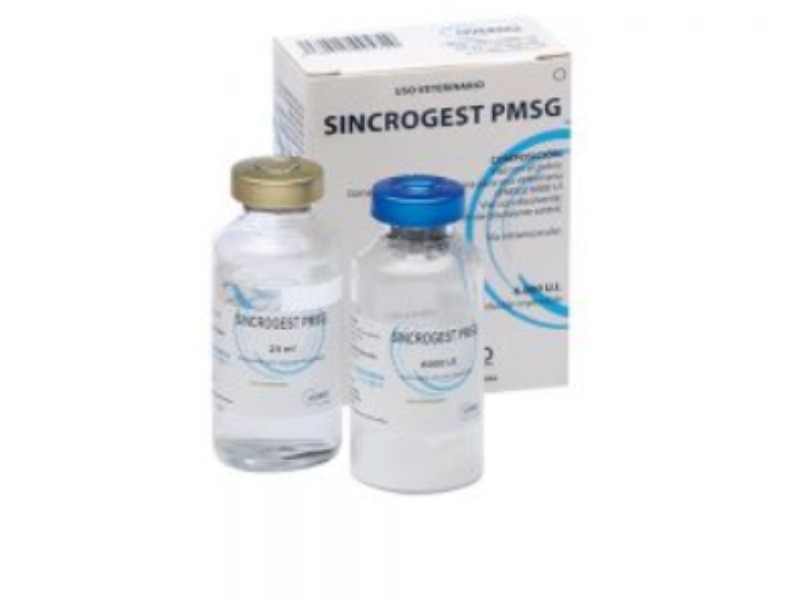 Sincrogest PMSG 6000