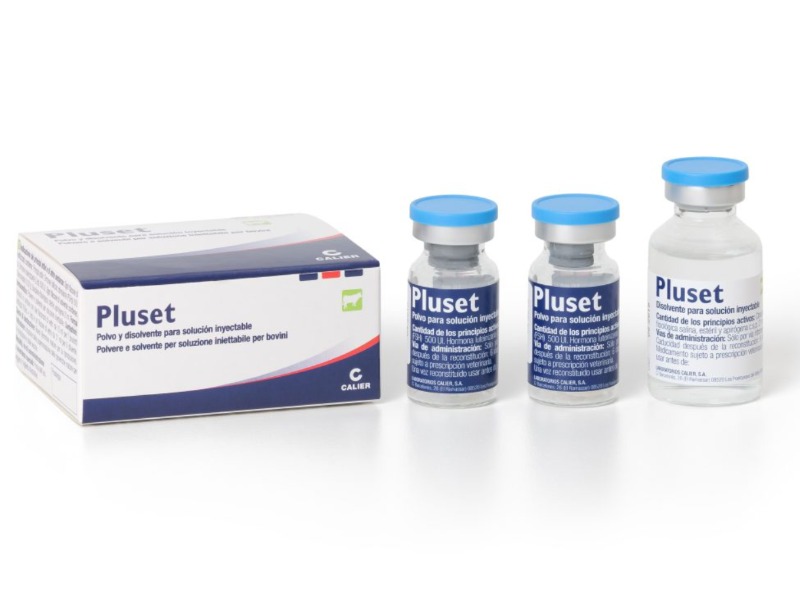 Pluset