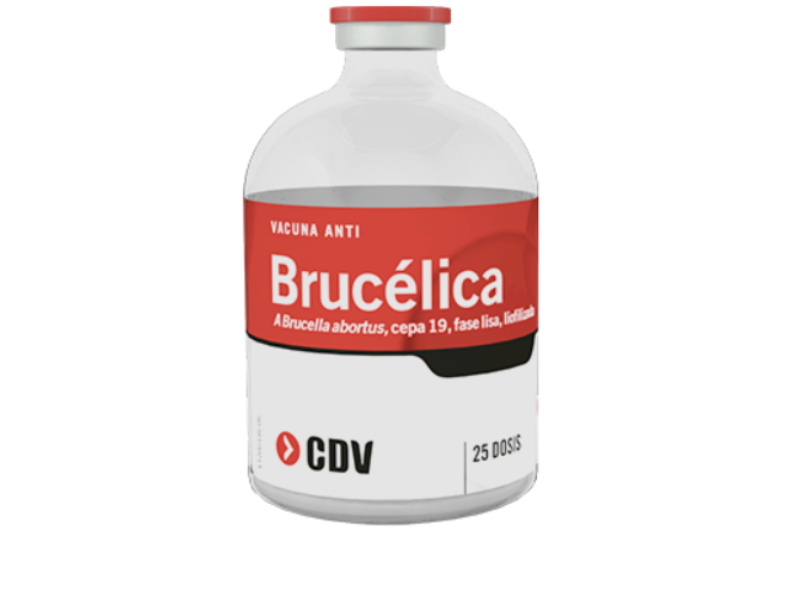 Vacuna Anti Brucélica A cepa 19