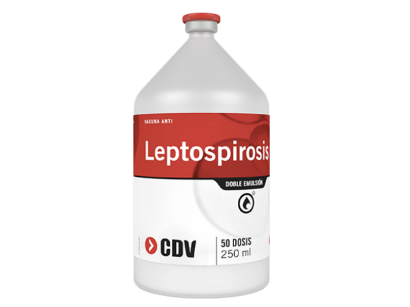 Vacuna Anti Leptospirosis