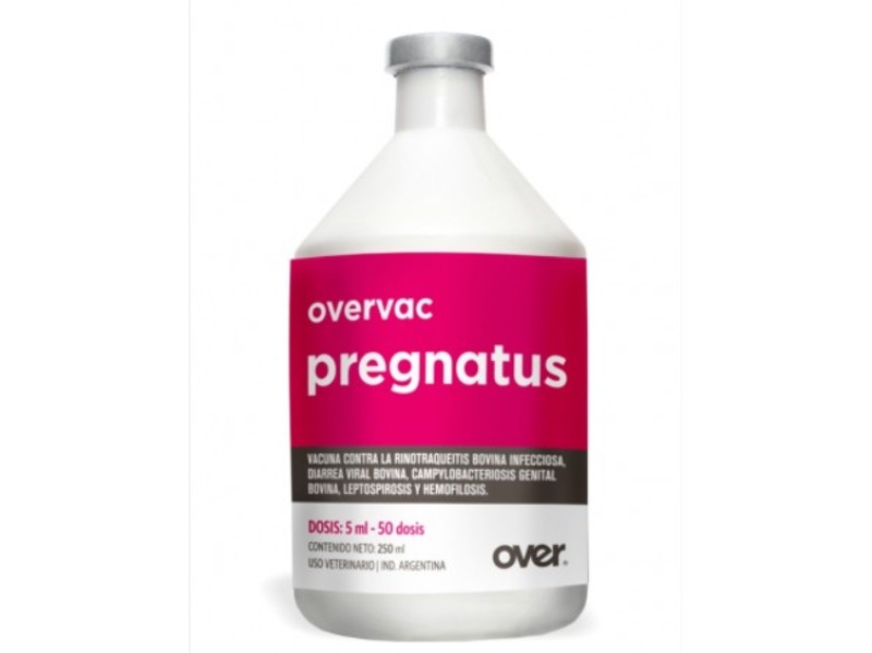 Overvac Pregnatus