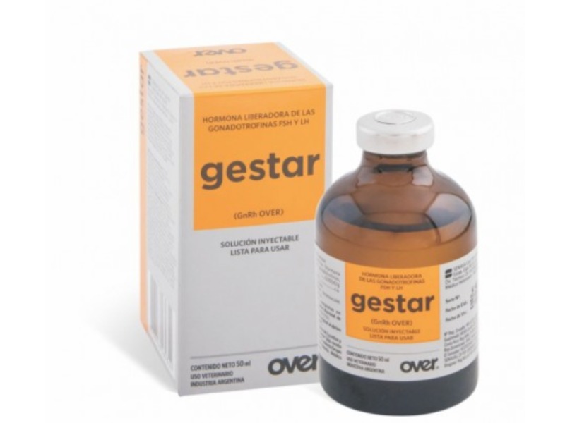 Gestar