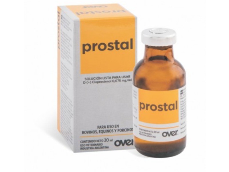 Prostal