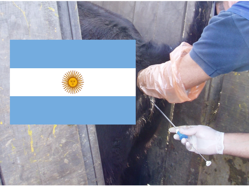 Estadísticas del mercado de semen bovino de la Argentina  2022