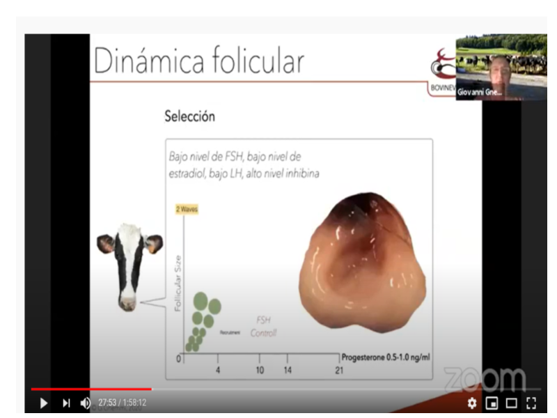 Evaluación ecográfica del mapa folicular: una herramienta para mejorar el resultado de la terapia hormonal