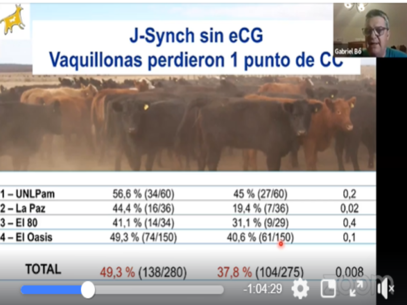 Actualización sobre la aplicación del protocolo J- Synch en vacas y vaquillonas. 