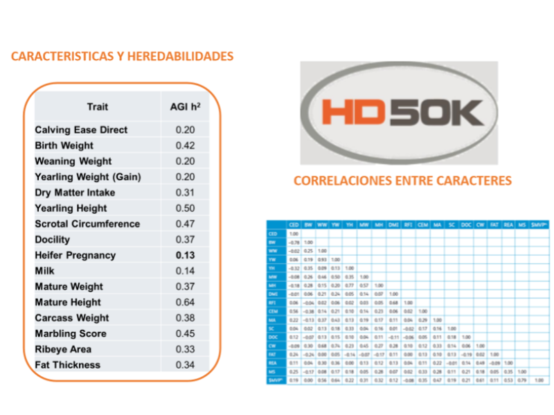 HD 50K Global Angus: Estudio demostrativo en Argentina