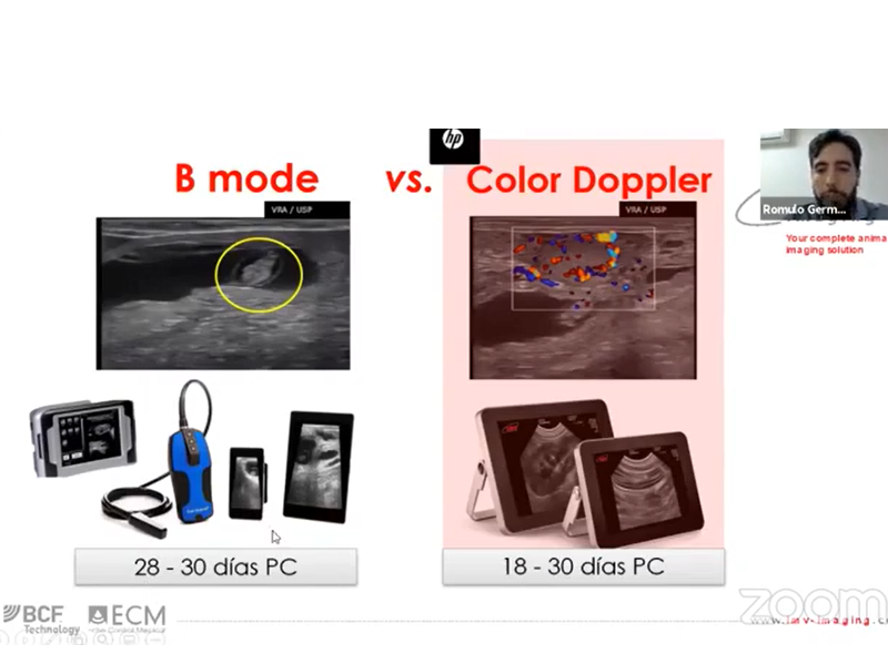 Impacto económico del examen ultrasonográfico y del doppler color en el manejo reproductivo de los rodeos lecheros y de carne