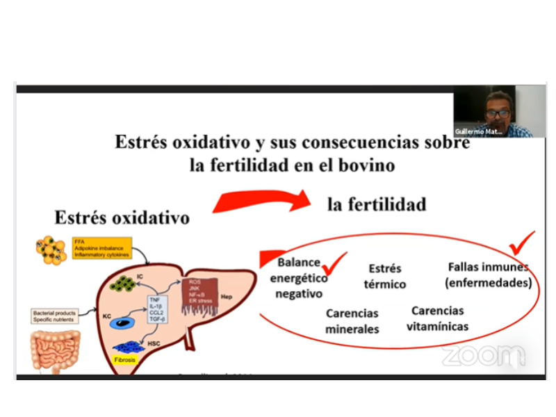 Uso de los minerales en reproducción