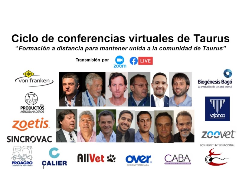 Informe del Ciclo de Conferencias Virtuales Taurus