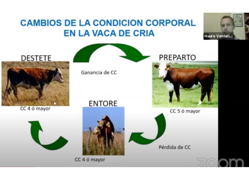 Efectos de la nutrición sobre los resultados a la IATF