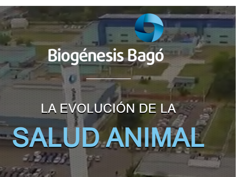 Biogénesis Bagó fue reconocida como mejor compañía latinoamericana en salud animal 2020