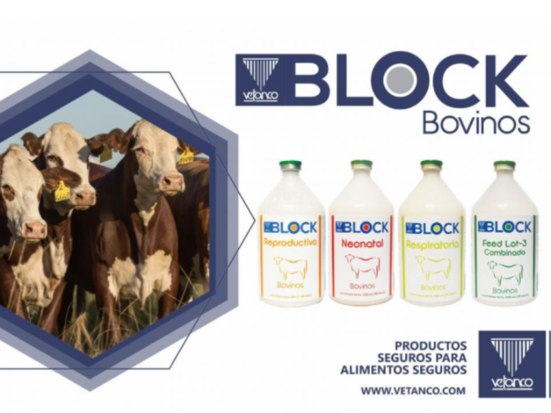 Block bovinos: línea de vacunas doble emulsion