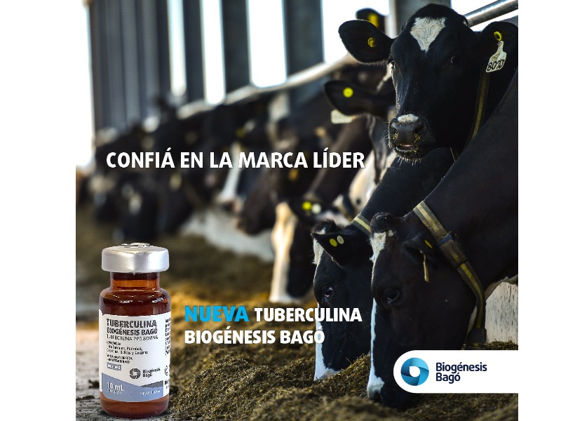 Biogénesis Bagó lanza un producto para diagnóstico de tuberculosis bovina