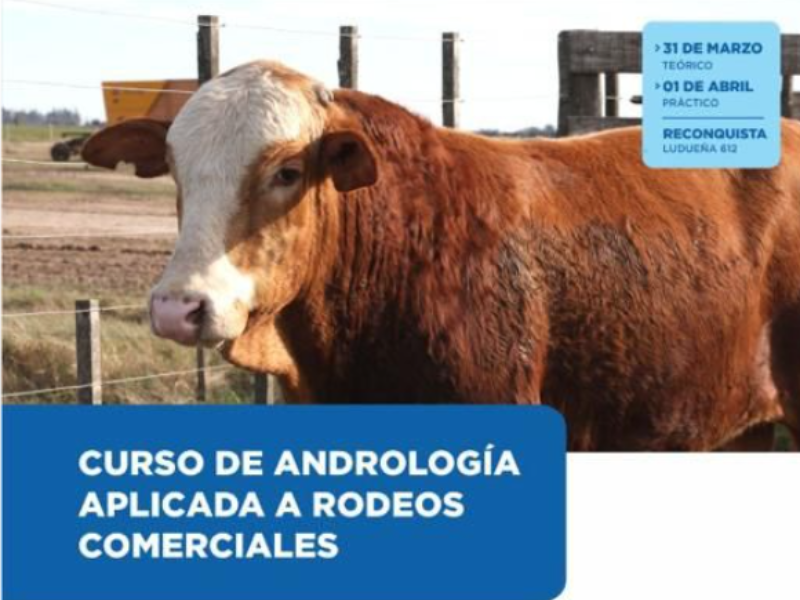 Curso de Andrología aplicada a rodeos comerciales