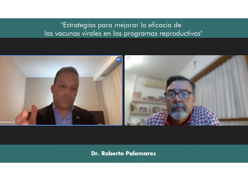 Reviví la charla "Estrategias para mejorar la eficacia de las vacunas virales en los programas reproductivos"