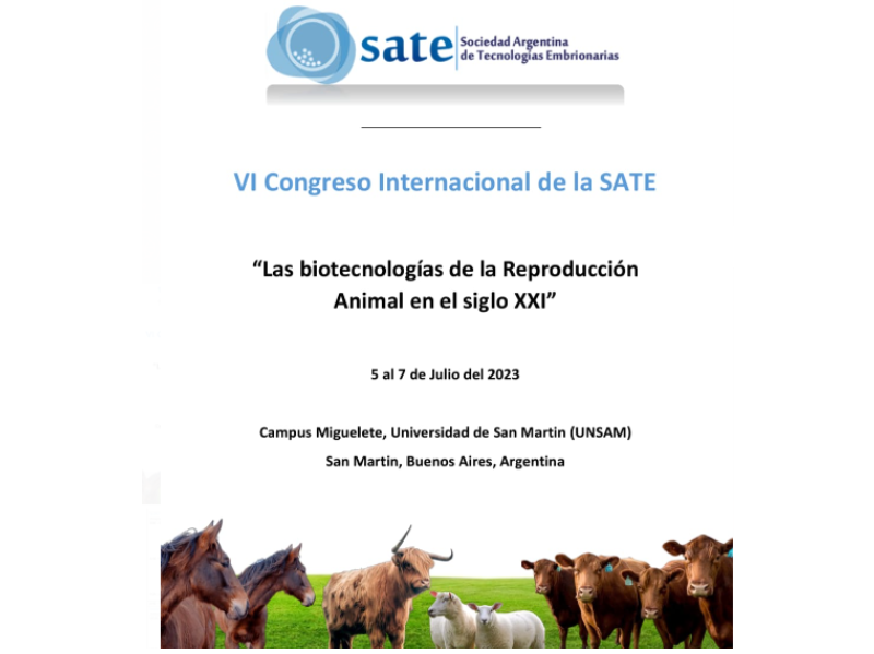 VI Congreso Internacional de la SATE