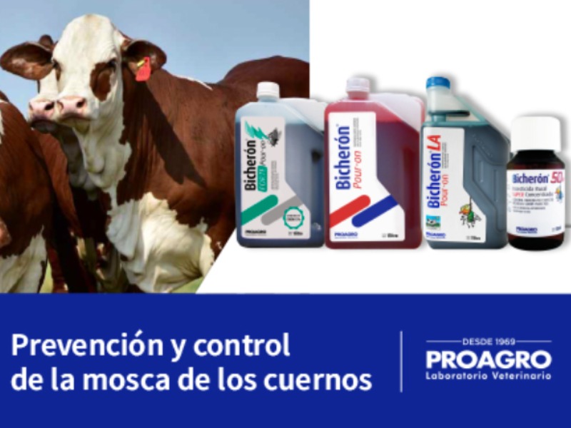 Prevención y control de la Mosca de los cuernos