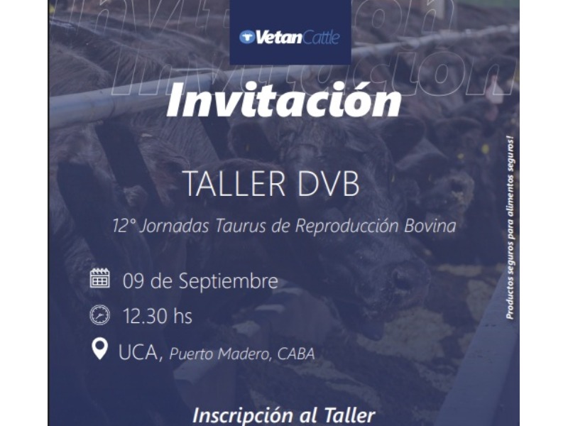 Taller DVB pre Jornadas Taurus