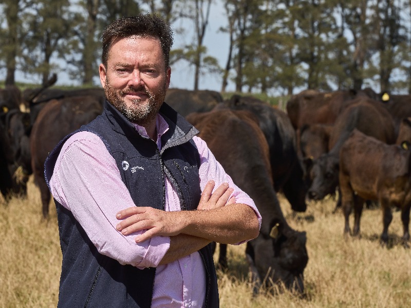 Eficiencia y salud animal: los anticuerpos más poderosos de la  empresa ganadera