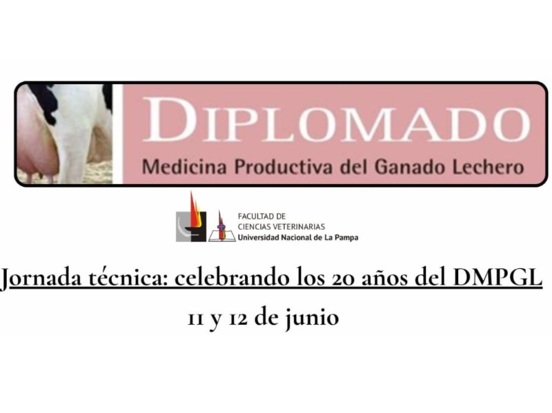Jornada Técnica: celebrando los 20 años del DPMGL