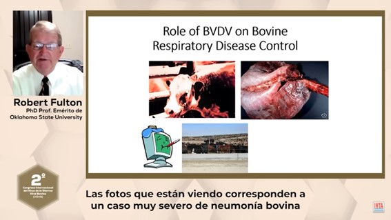 Segundo Congreso Internacional del Virus de la Diarrea Viral Bovina (DVB)