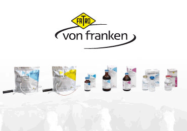 Von Franken Banner 2