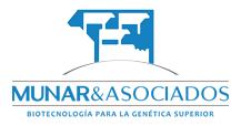 Munar y Asociados